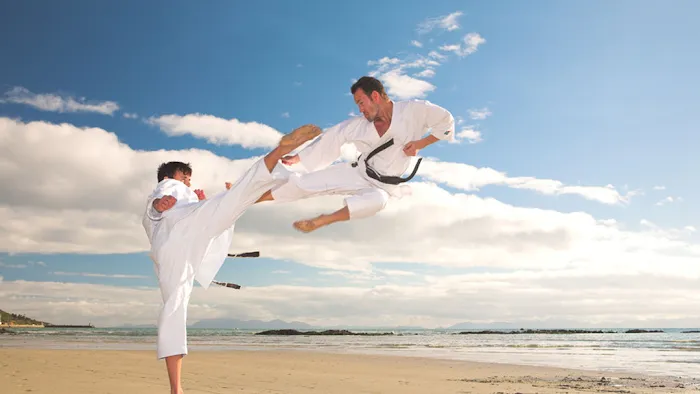 Premier Taekwondo Picture 7