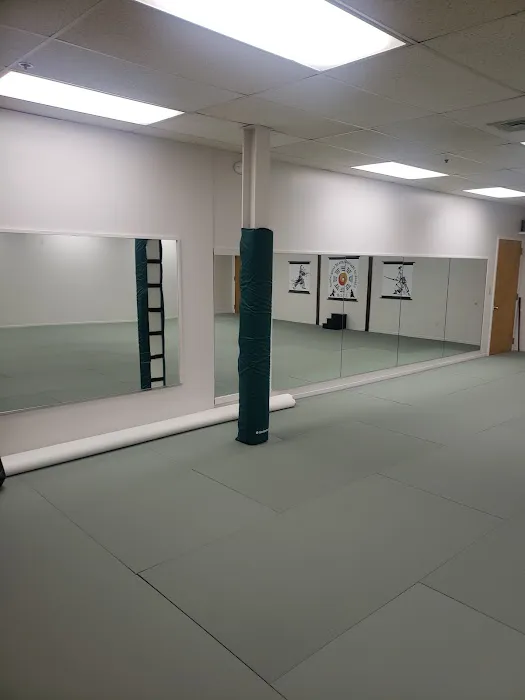 Classical Martial Arts of Long Island Picture 6
