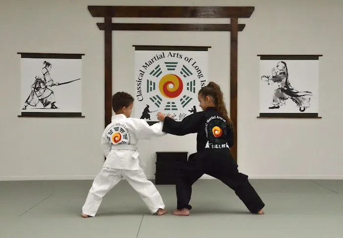 Classical Martial Arts of Long Island Picture 9