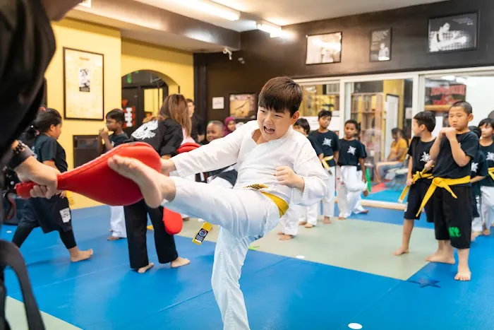 The Martial Arts Training Center Picture 10