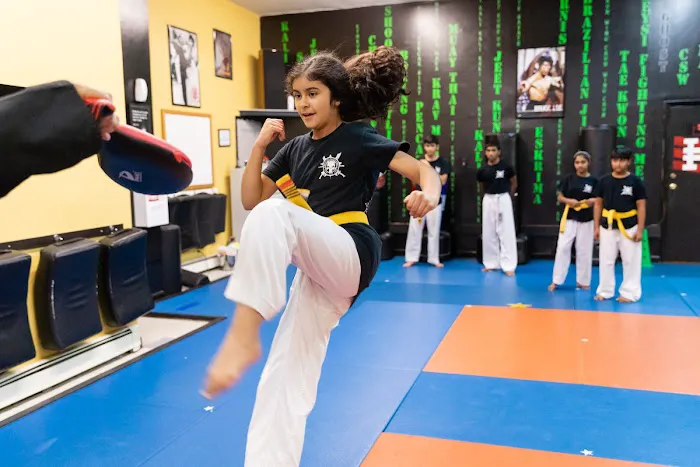 The Martial Arts Training Center Picture 6
