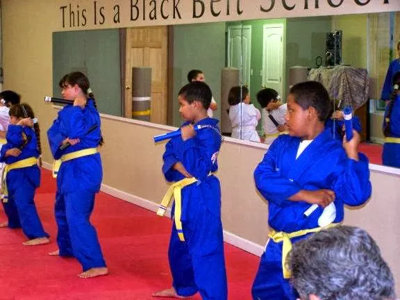 Martial Arts America - Premier Taekwondo Picture 2