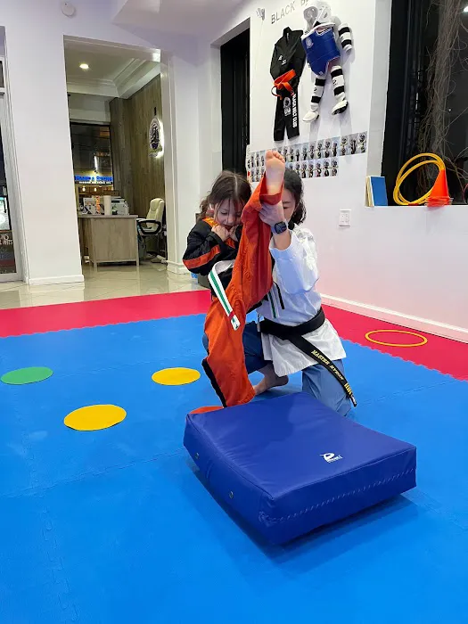 Champions Martial Arts Huntington Picture 7