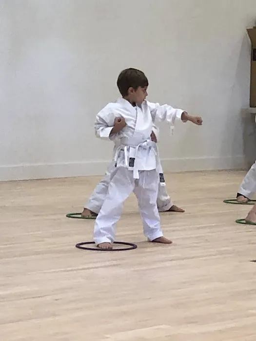 Go No Sen Karate Picture 3