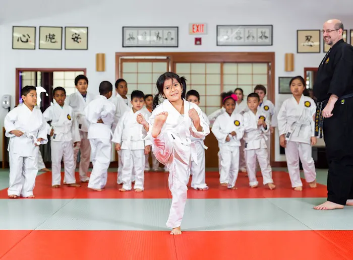 Go No Sen Karate Picture 9