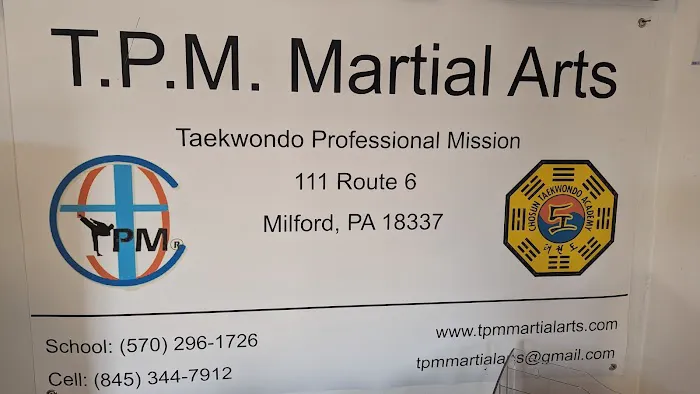 TPM Martial Arts Picture 1