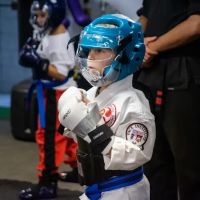 Pace Institute of Karate ico