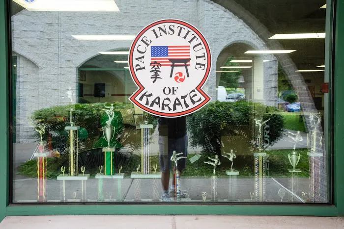 Pace Institute of Karate Picture 5