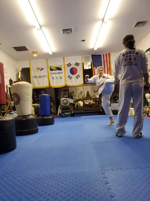 NYBBC Taekwondo Martial Arts INC Picture 3