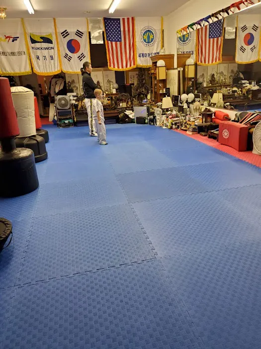 NYBBC Taekwondo Martial Arts INC Picture 4