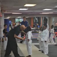 Victory Karate Middletown ico