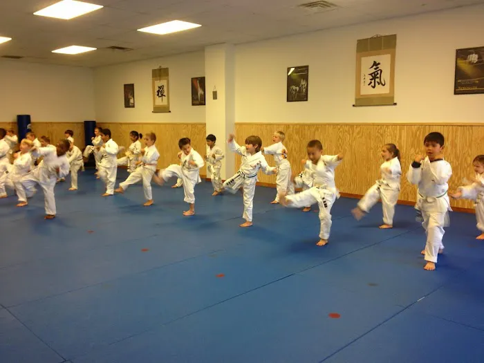 Simkin's Martial Arts Picture 2