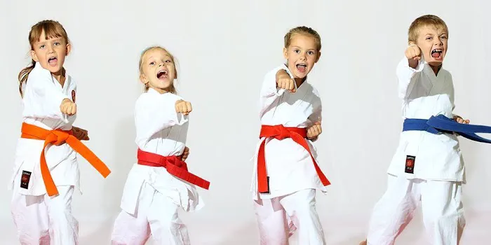 Simkin's Martial Arts Picture 3