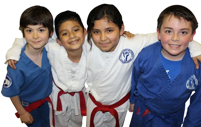 Freestyle Martial Arts Academy Picture 4
