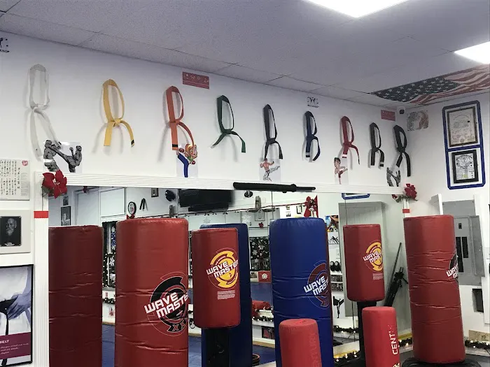 Freestyle Martial Arts Academy Picture 1