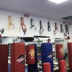 Freestyle Martial Arts Academy