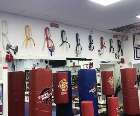 Freestyle Martial Arts Academy
