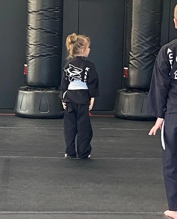 Action Karate Parkwood Picture 1
