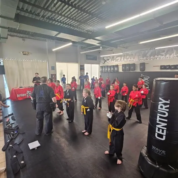 Action Karate Parkwood Picture 4