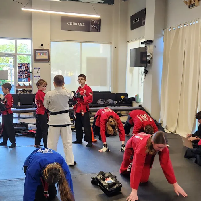 Action Karate Parkwood Picture 7