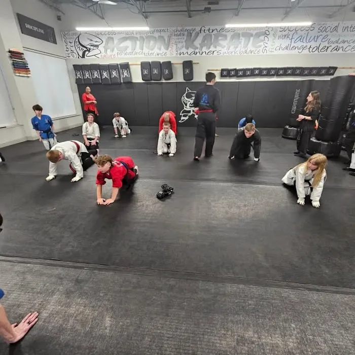 Action Karate Parkwood Picture 8