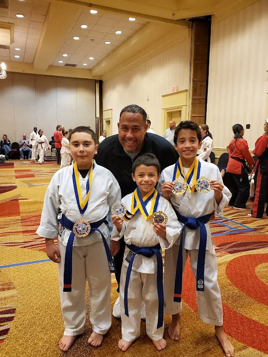 Team Torres Martial Arts Picture 4