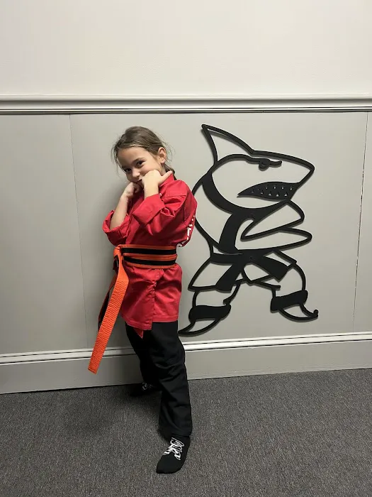 Action Karate Feasterville Picture 2