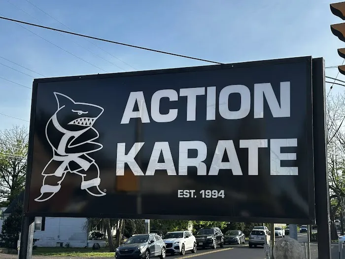 Action Karate Feasterville Picture 10