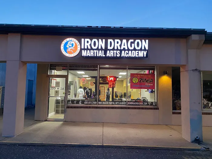 Iron Dragon Martial Arts Academy Picture 4