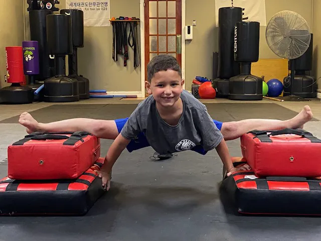 Iron Dragon Martial Arts Academy Picture 8
