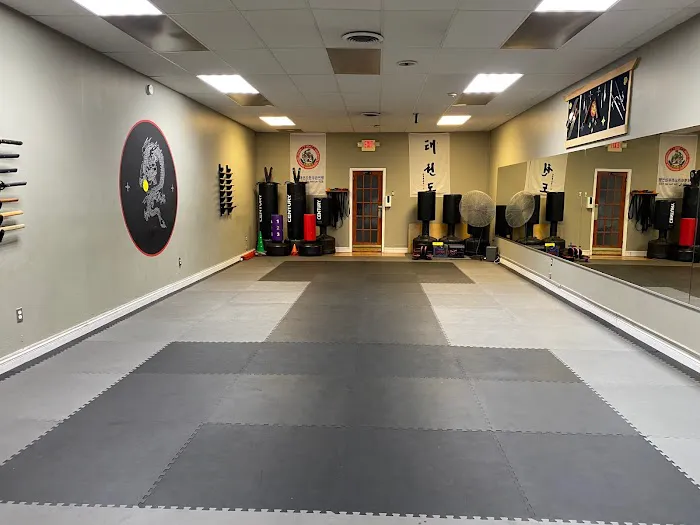 Iron Dragon Martial Arts Academy Picture 3