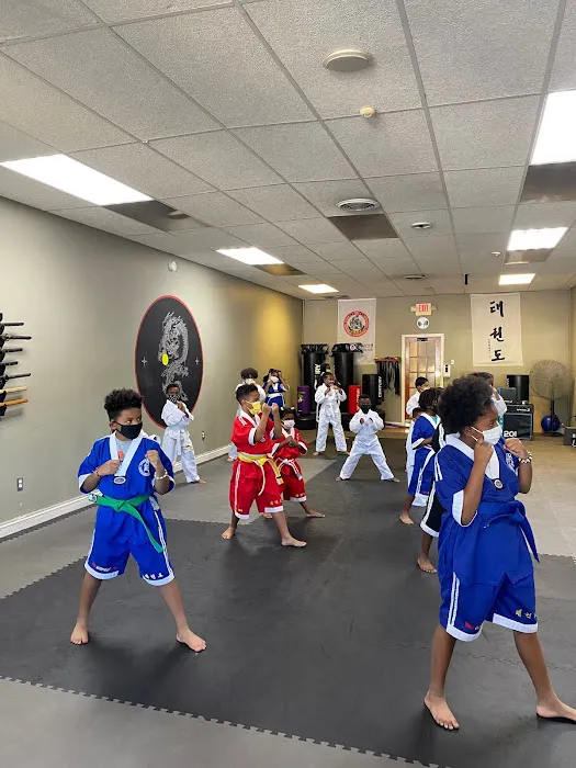 Iron Dragon Martial Arts Academy Picture 2