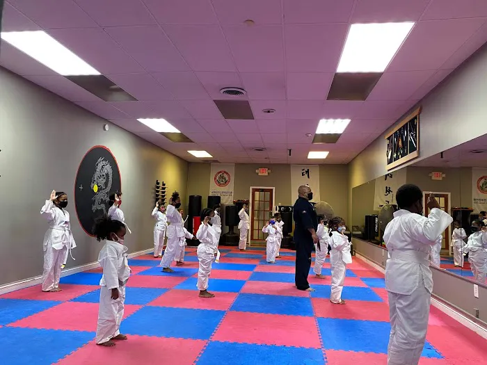 Iron Dragon Martial Arts Academy Picture 9
