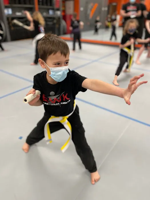 East West Karate Picture 7