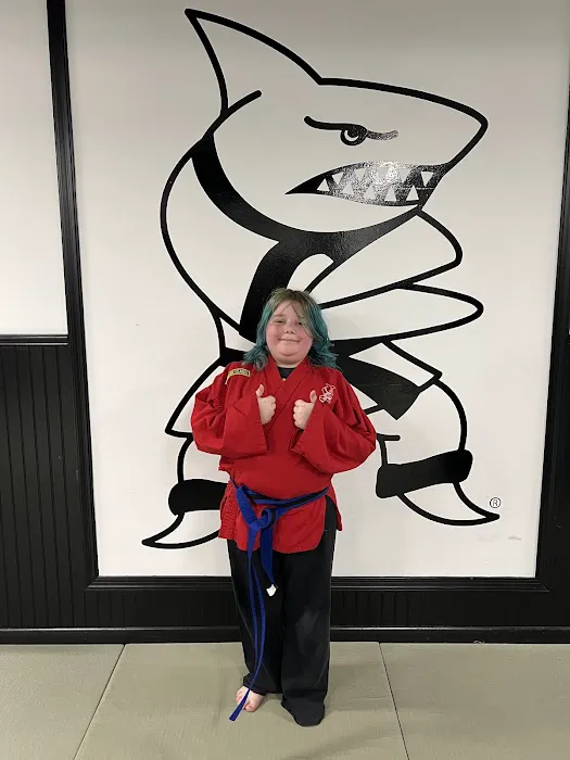 Jamison Action Karate Picture 2