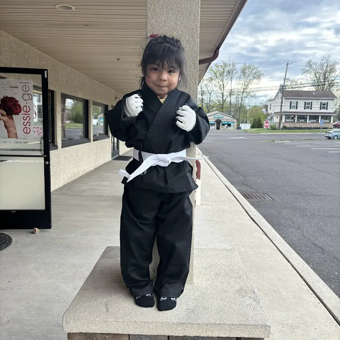 Jamison Action Karate Picture 1