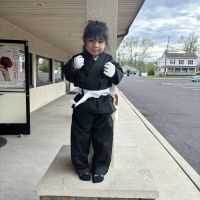 Jamison Action Karate ico