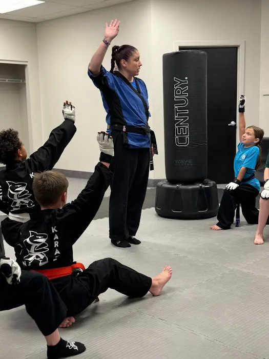 Jamison Action Karate Picture 5