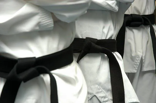 Competitive Edge Martial Arts Picture 1