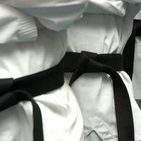 Competitive Edge Martial Arts ico