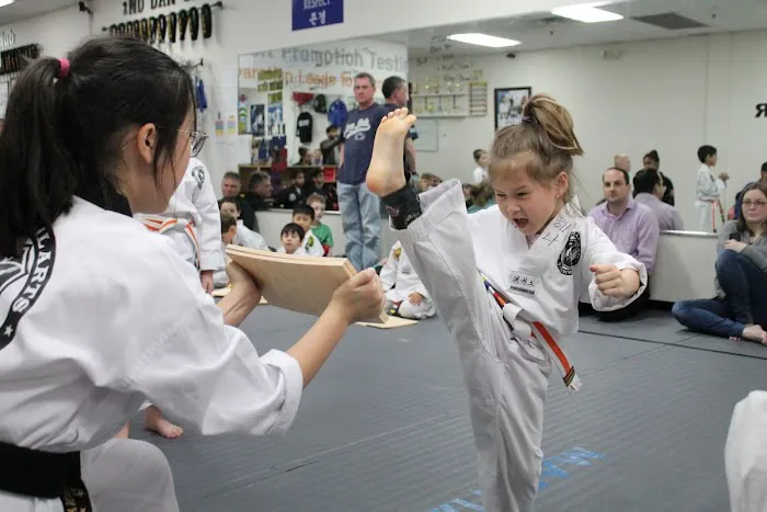 The Sky Martial Arts Taekwondo Picture 1