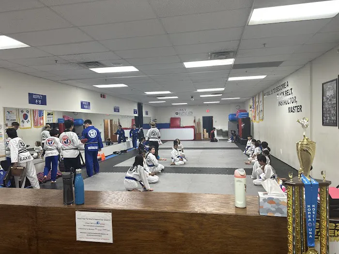 The Sky Martial Arts Taekwondo Picture 6