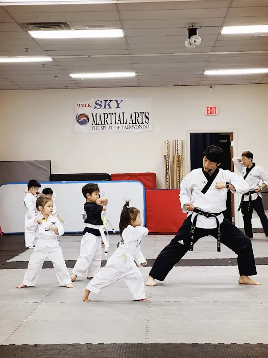 The Sky Martial Arts Taekwondo Picture 9