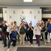 Action Karate North Wales ico