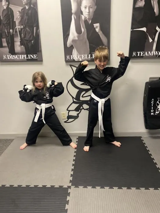 Action Karate North Wales Picture 5