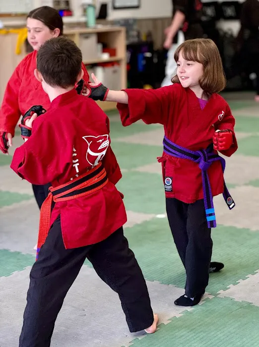Action Karate North Wales Picture 8