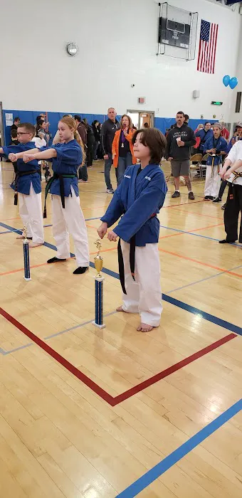 Action Karate North Wales Picture 6