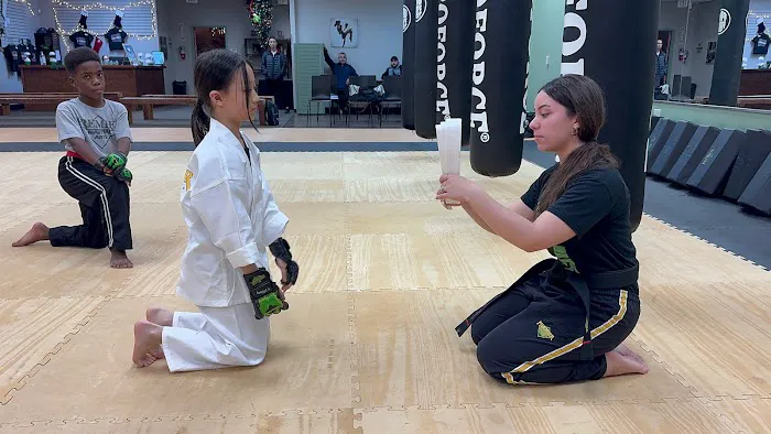 Premier Martial Arts/Counterstrike Kenpo Picture 3