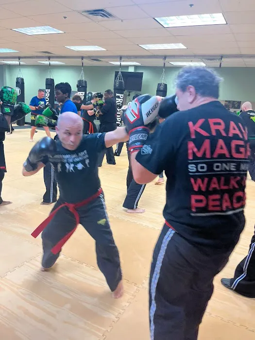 Premier Martial Arts/Counterstrike Kenpo Picture 4