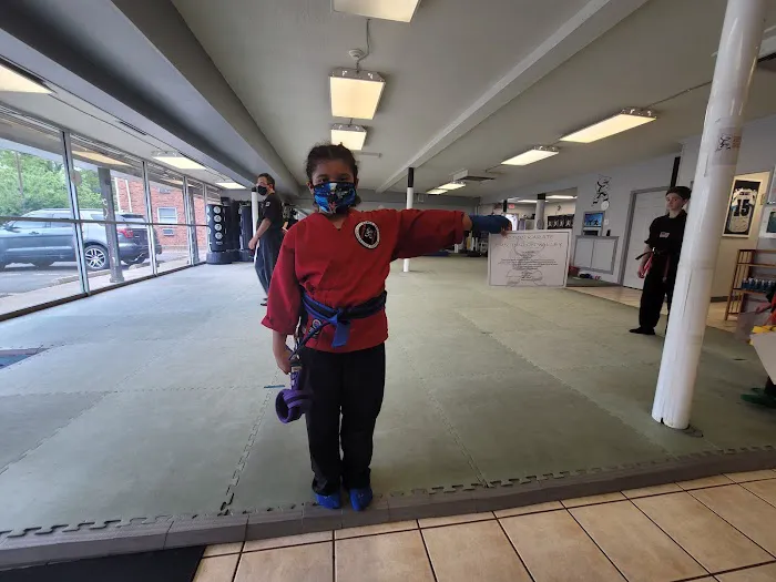 Action Karate Huntingdon Valley Picture 2